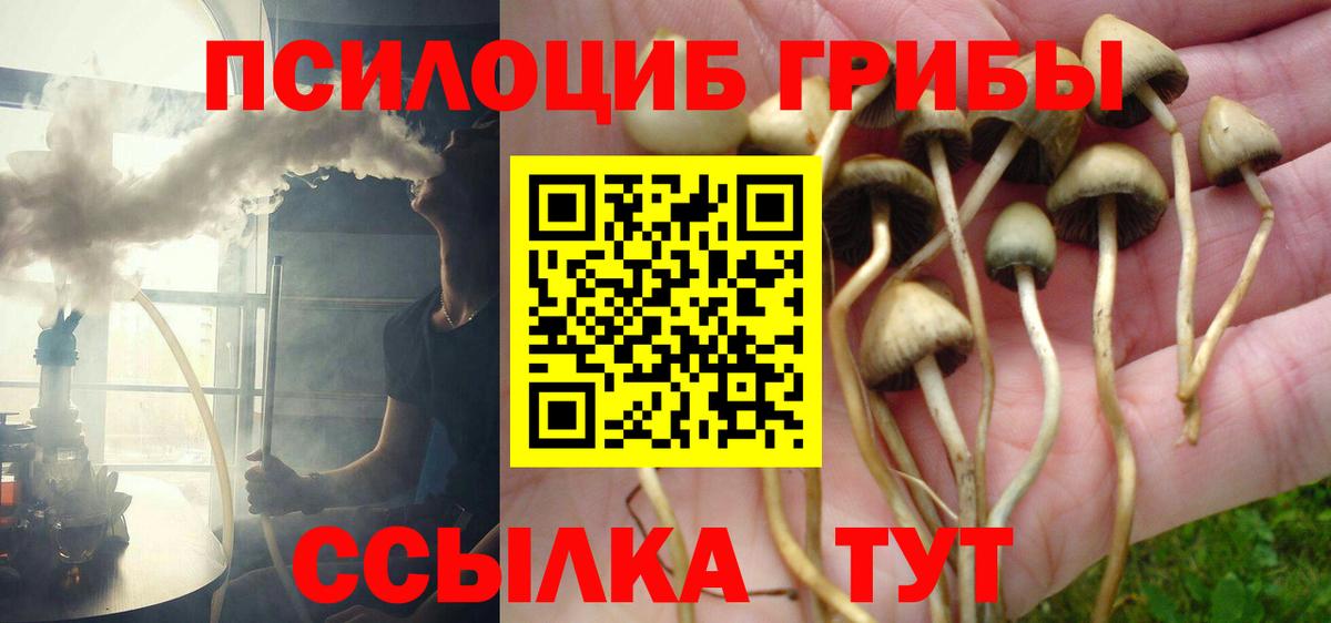 Псилоцибиновые грибы мицелий  Вход с VPN  Саров  Галлюциногенные грибы MAGIC MUSHROOMS 